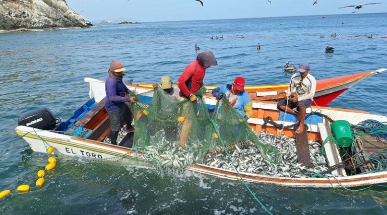 Pescadores de Nueva Esparta fortalecen exportaciones